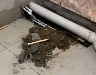 河津卫生间漏水检测哪家好
