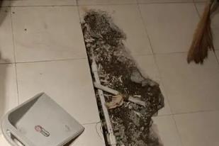 河津卫生间漏水检测电话